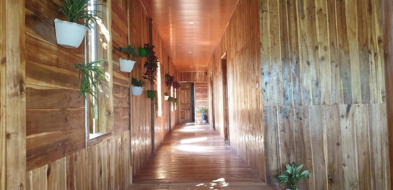 Tuyet'S Homestay Ниньбинь Экстерьер фото