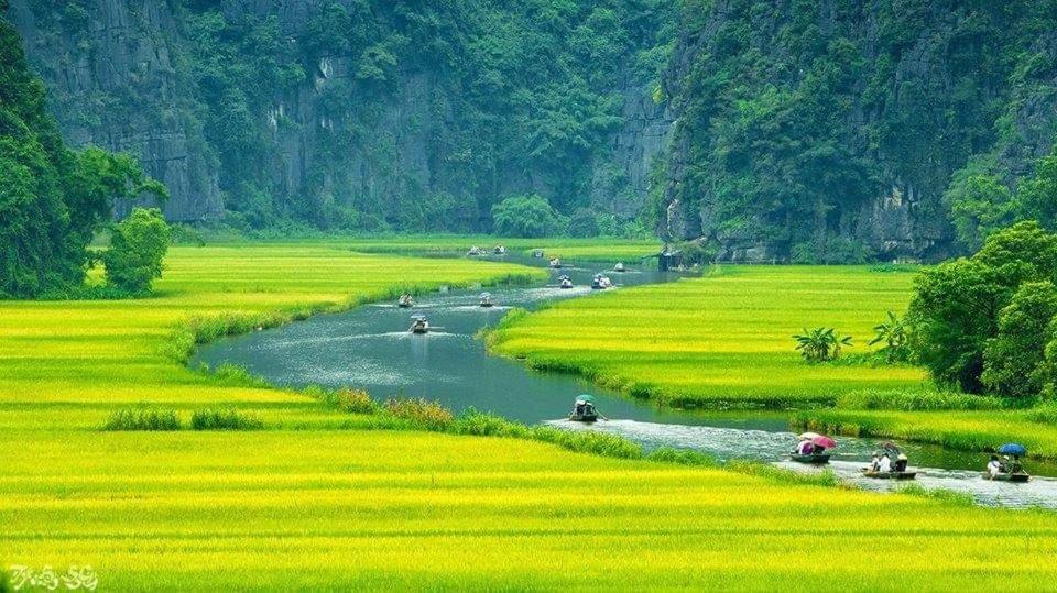 Tuyet'S Homestay Ниньбинь Экстерьер фото