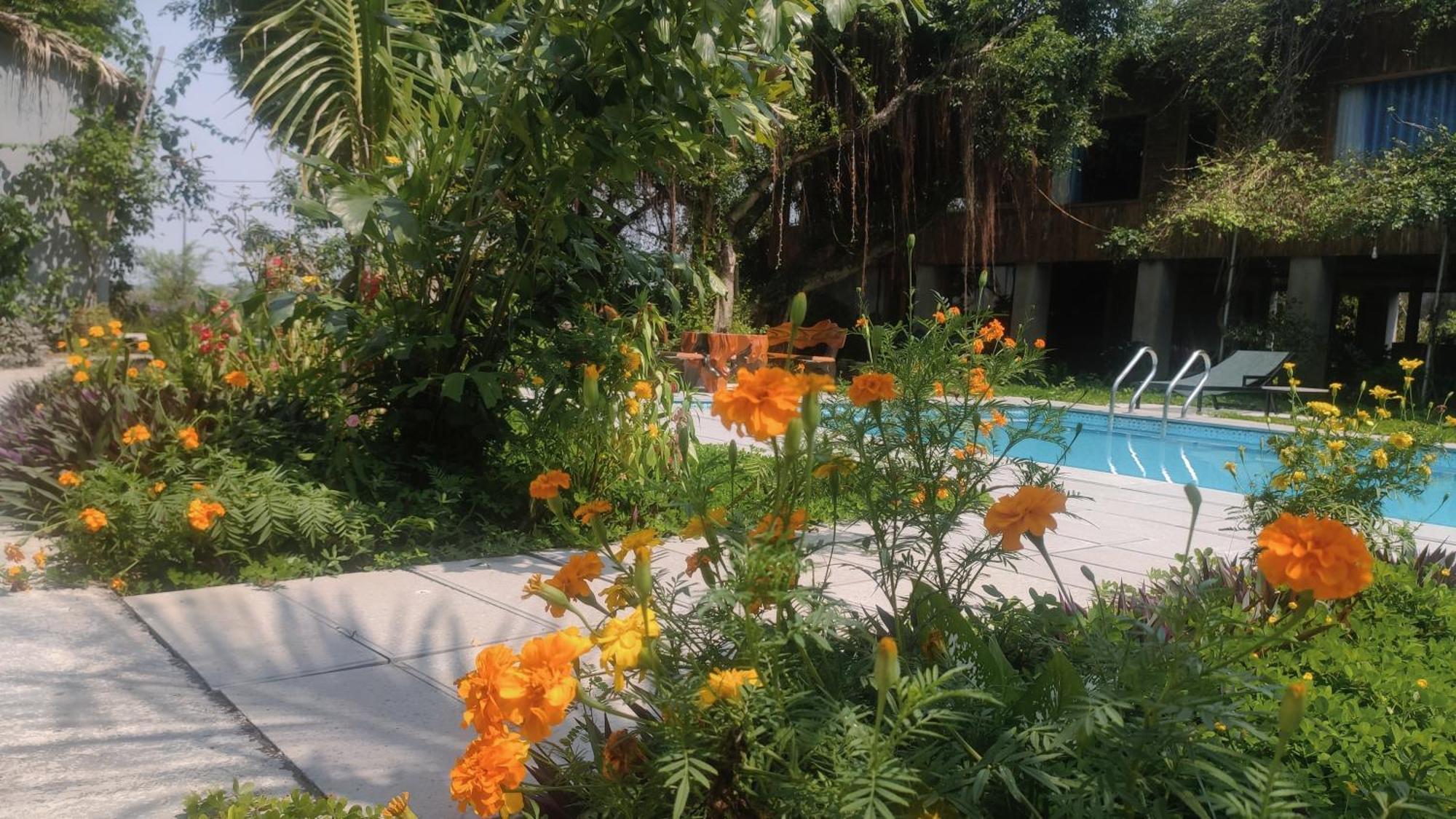Tuyet'S Homestay Ниньбинь Экстерьер фото